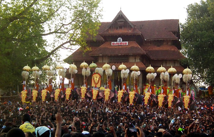 1501134481_elephants_in_pooram1