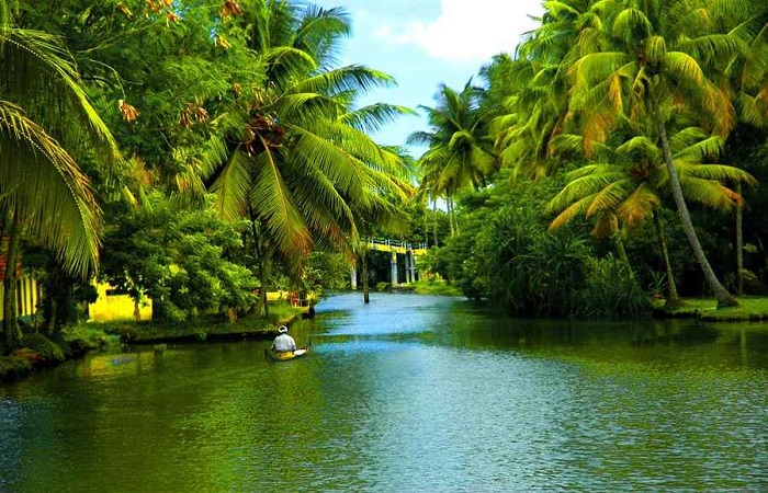 1650295522_back_water_of_kerala_soul_of_kerala