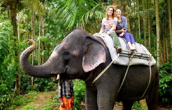 best-tourist-places-in-kerala3